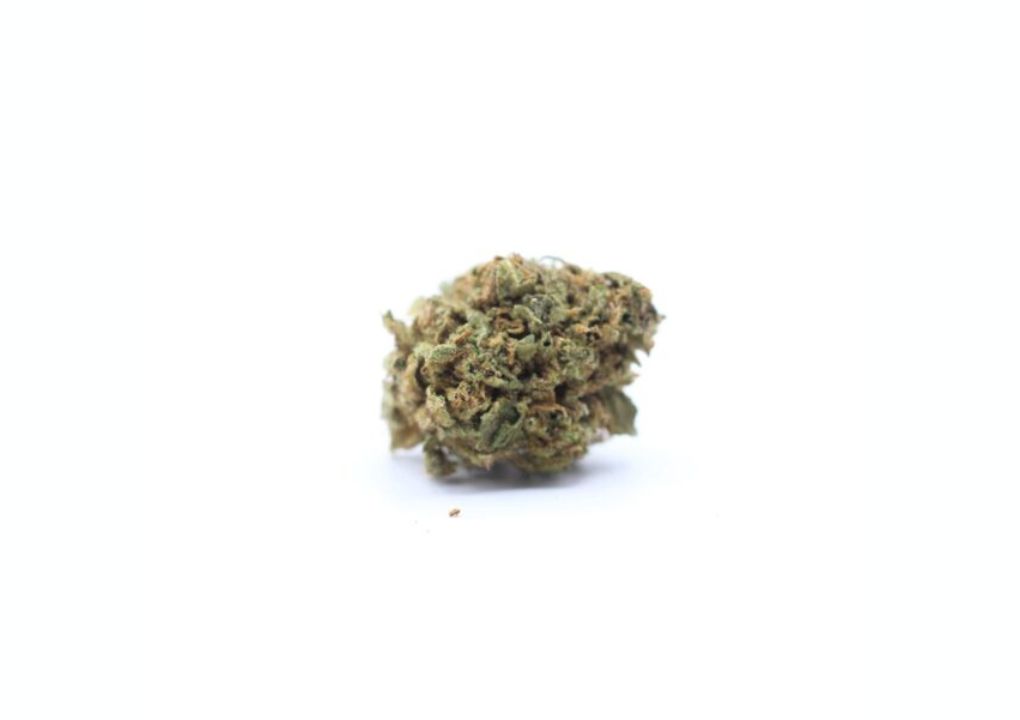 Try The Powerful Red Bullz Strain